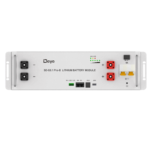 Акумуляторна батарея Deye SE-G5.1 Pro-B LiFePO4 LV 51.2v 100AH 5.12kWh 102 фото